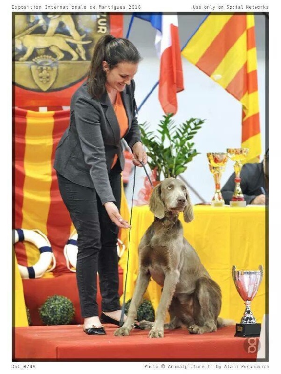 Des Trésors D'Alidon - Résultats du trophée de la Mediterannée à Martigues